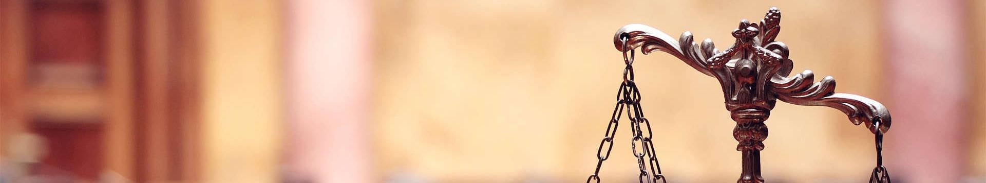 业务领域
